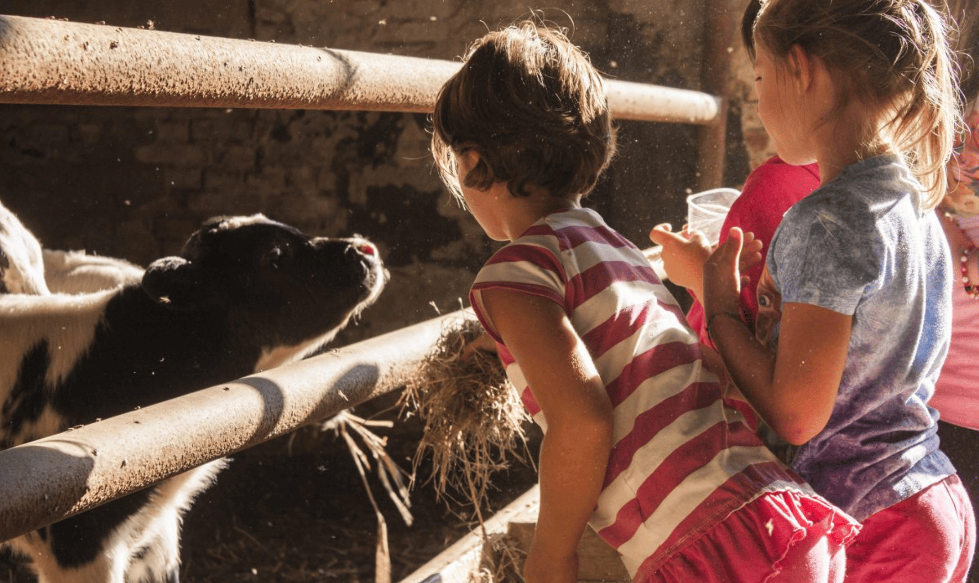 attività didattiche per le scuole