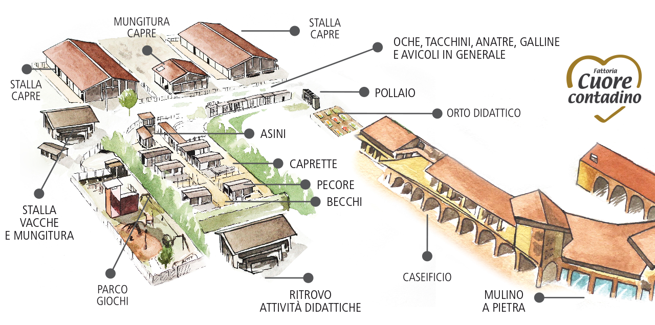 mappa-fattoria-didattica-l-agricola Mappa Azienda